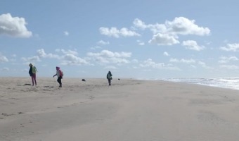 LA DIRECCIN DE HIGIENE URBANA REFUERZA LOS TRABAJOS DE LIMPIEZA EN PLAYAS